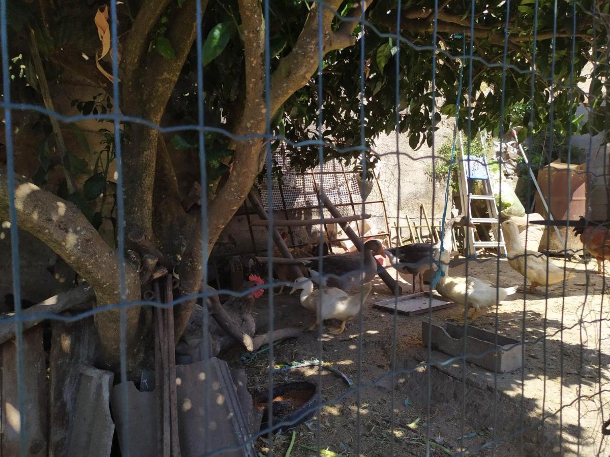 Casa Da Rota Dos Moinhos Apartman Lousã Kültér fotó